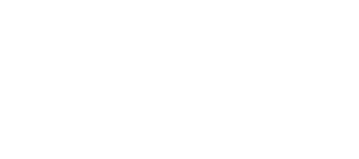 Renes Araç Kiralama